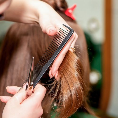 peluqueria lecera