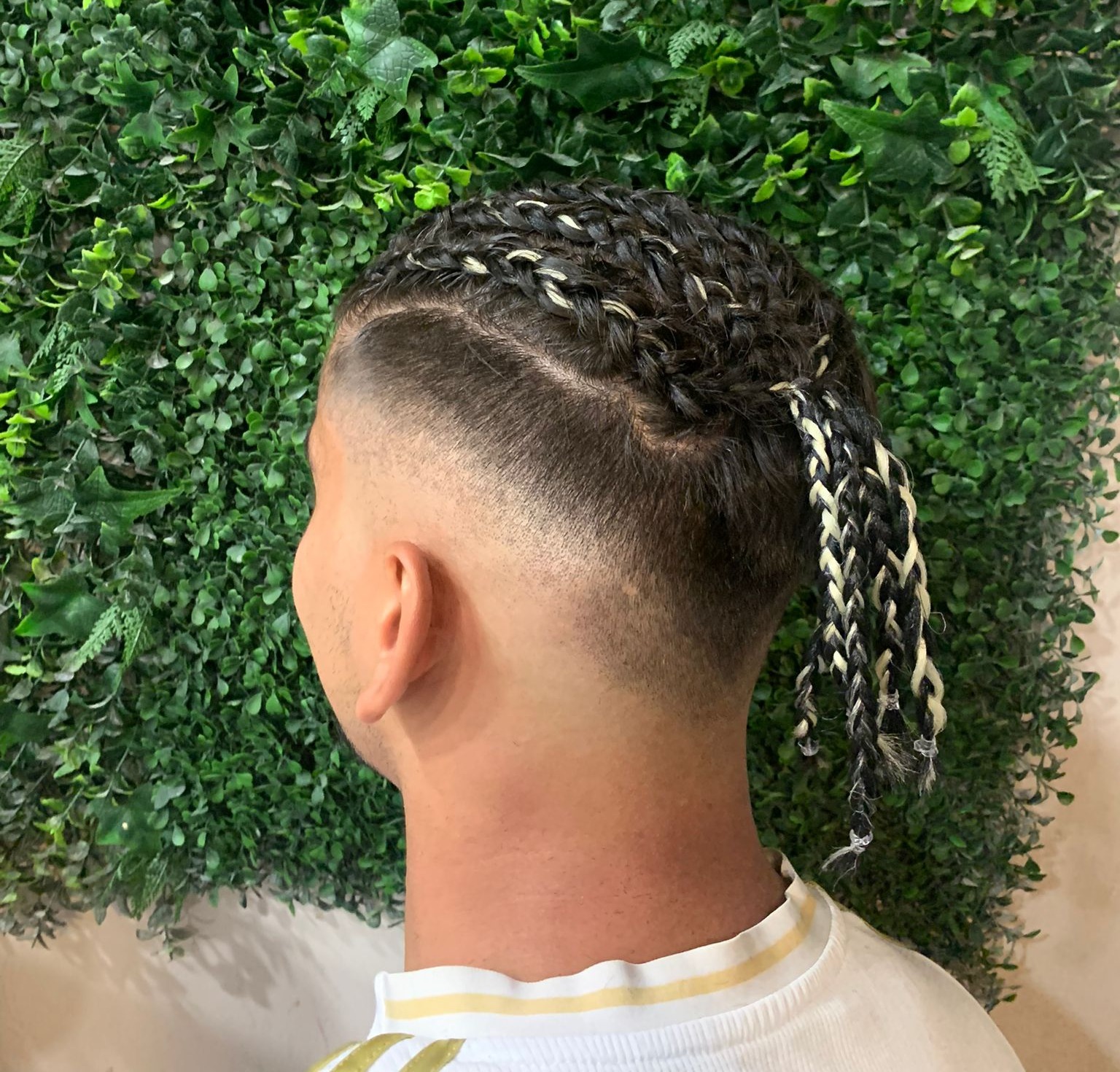 barberia lecera